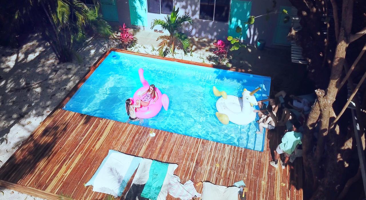 Hostel La Oveja & Surf Camp (adults Only) Tamarindo